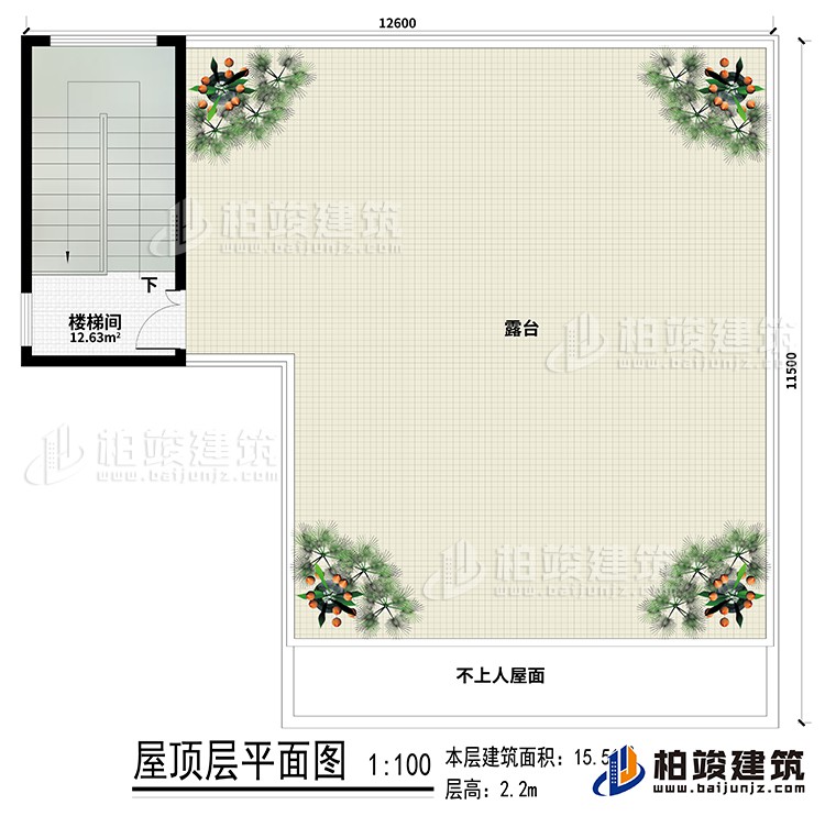 房頂：樓梯間、露臺